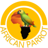 african parrot