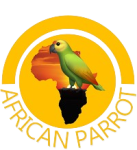 African Parrot